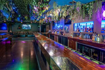 Los Angeles Bar Jungle Hollywood Night Club image 28