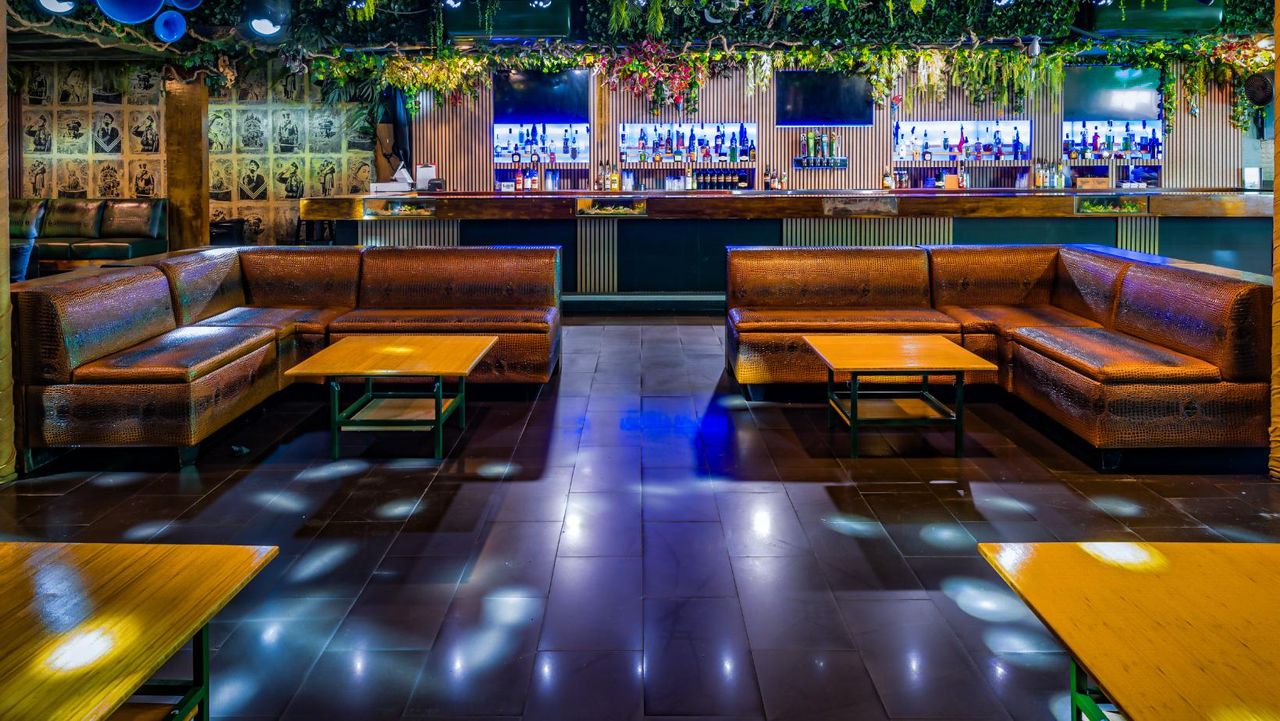 Los Angeles  Bar Jungle Hollywood Night Club image 18