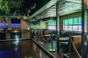 Los Angeles Bar Jungle Hollywood Night Club image 6