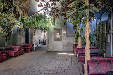 Los Angeles Bar Jungle Hollywood Night Club image 11