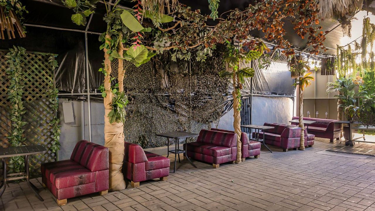 Los Angeles  Bar Jungle Hollywood Night Club image 16