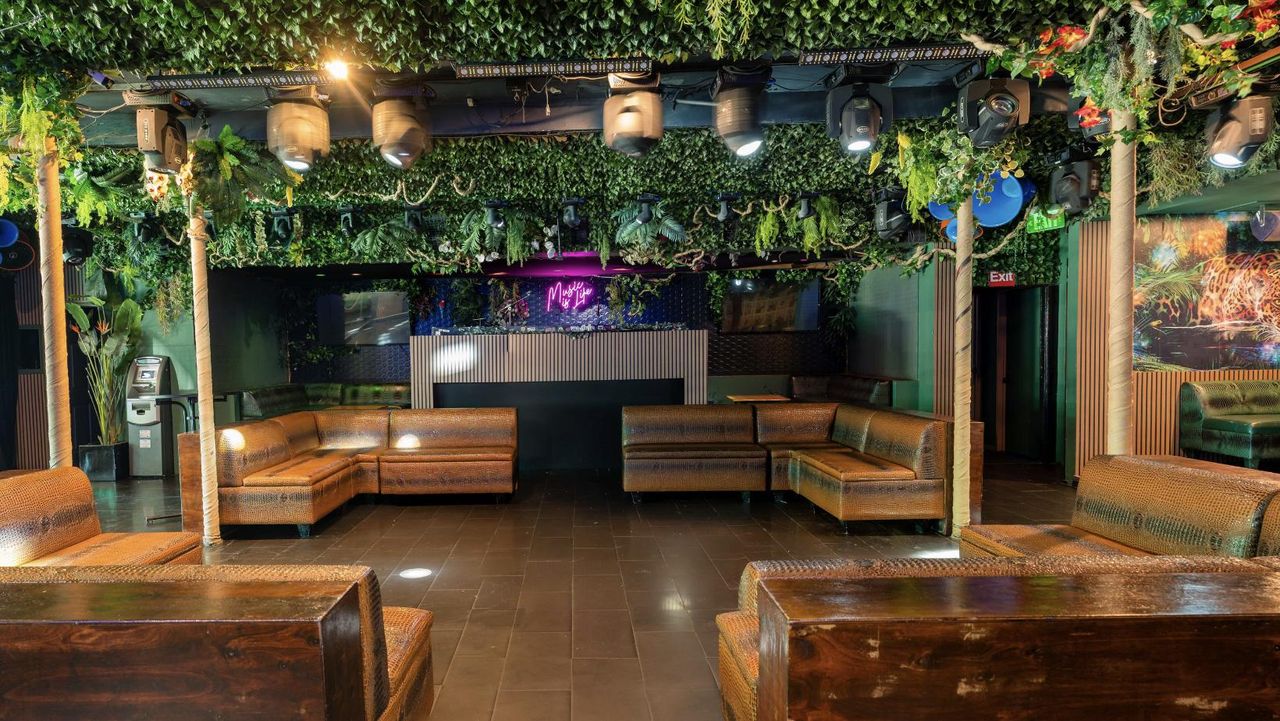 Los Angeles  Bar Jungle Hollywood Night Club image 16