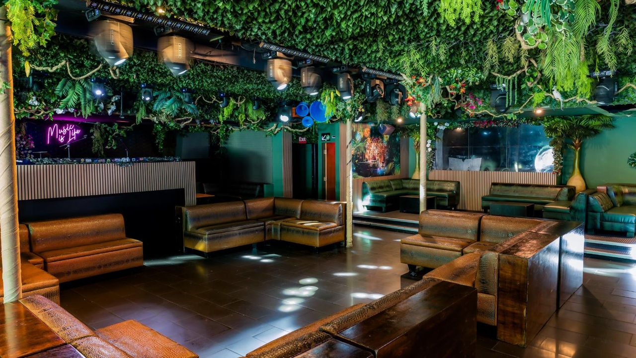 Los Angeles  Bar Jungle Hollywood Night Club image 1