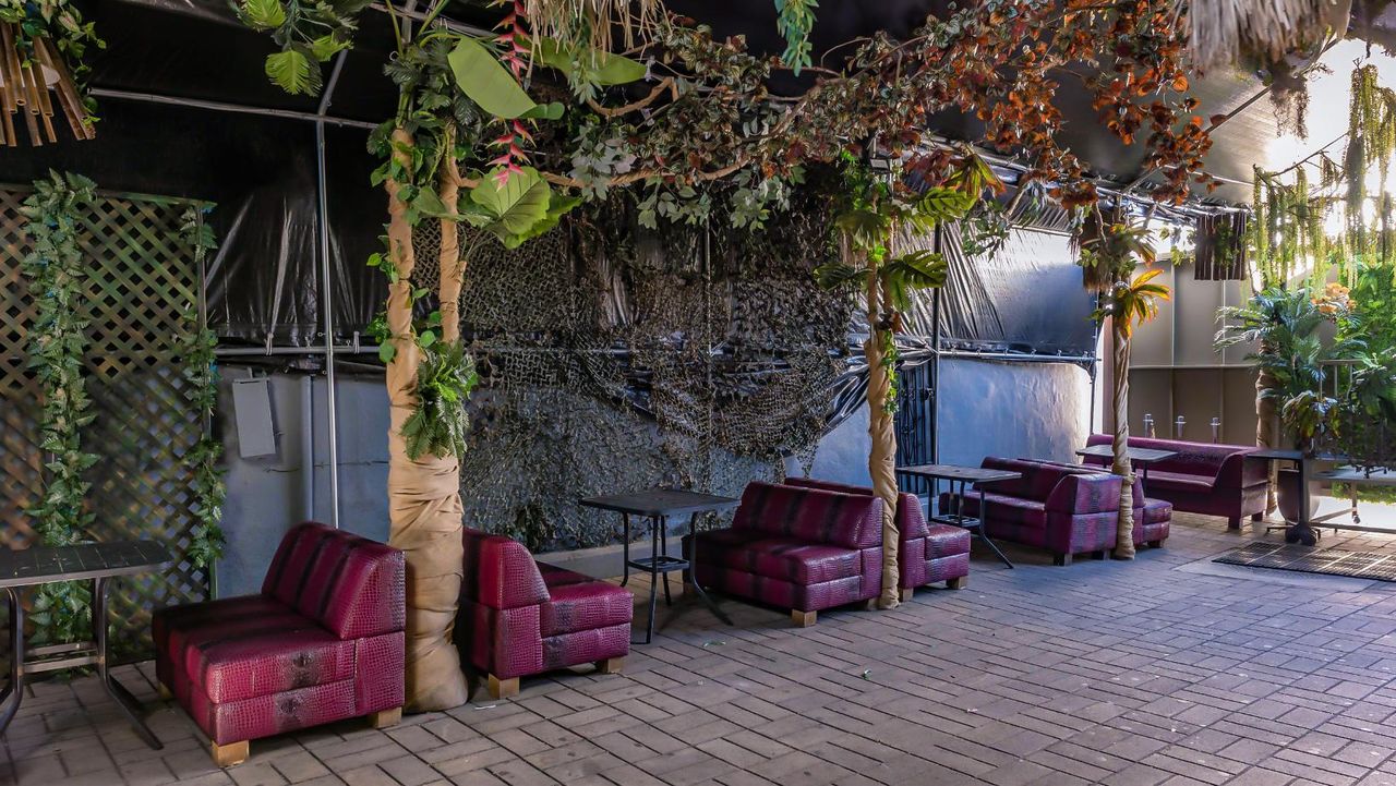 Los Angeles  Bar Jungle Hollywood Night Club image 15