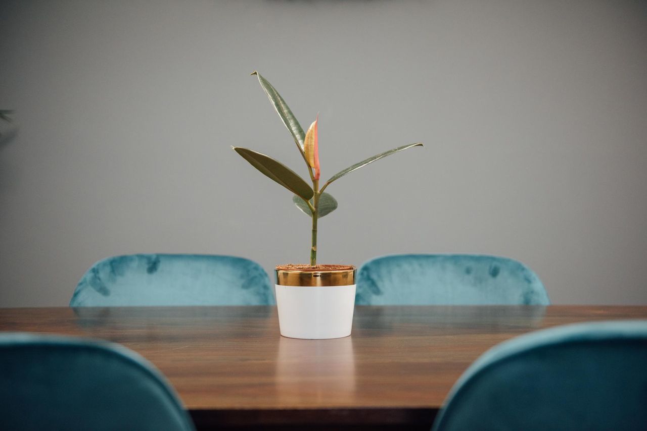 Leeds Creative Meeting Meetingräume 1899 Suite image 6