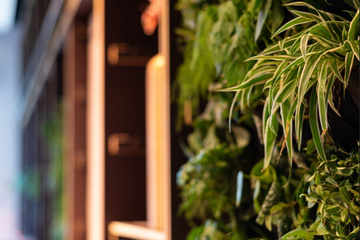 Rotterdam Office desk Meetingroom image 4