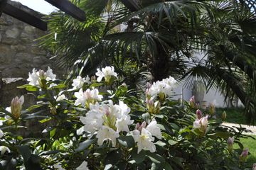 Frankfurt am Main  Außergewöhnliche Locations Mediterrane Hofreite, Meetingräume, Kaminzimmer, Gewölbekeller, Garten image 4