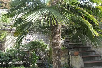 Frankfurt am Main  Außergewöhnliche Locations Mediterrane Hofreite, Meetingräume, Kaminzimmer, Gewölbekeller, Garten image 7