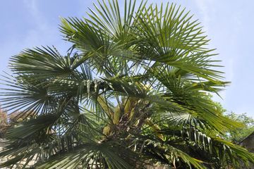 Frankfurt am Main  Außergewöhnliche Locations Mediterrane Hofreite, Meetingräume, Kaminzimmer, Gewölbekeller, Garten image 8