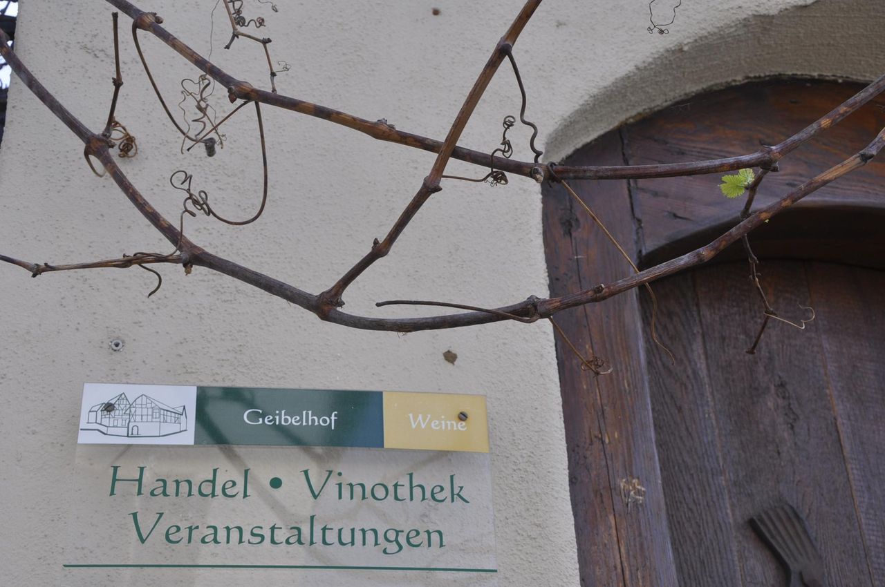 Frankfurt am Main  Außergewöhnliche Locations Mediterrane Hofreite, Meetingräume, Kaminzimmer, Gewölbekeller, Garten image 12