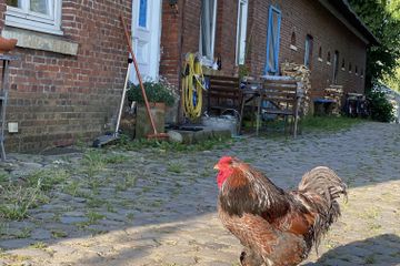 Hamburg Kreatives Meeting Boerderij Hof & Scheune image 2