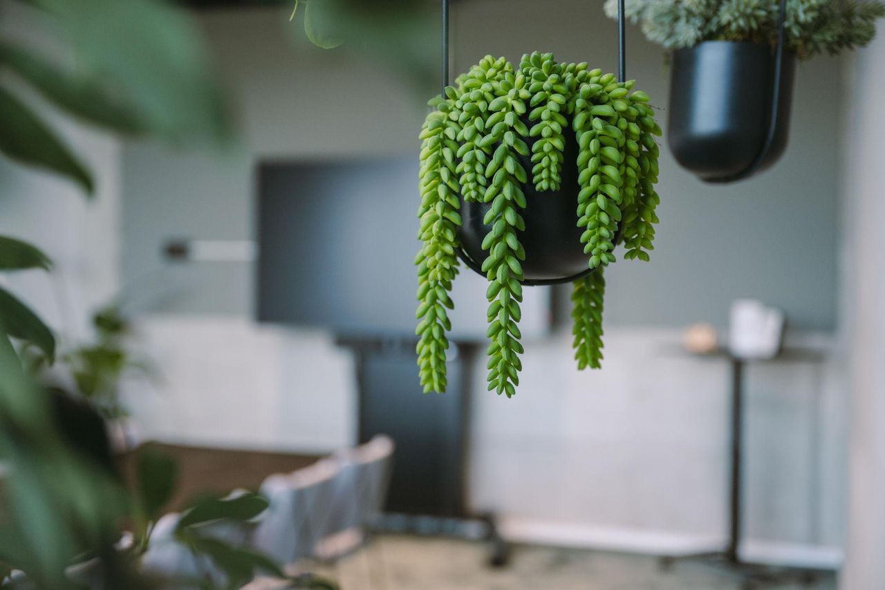 Hamburg  Meetingraum Meeting Room 0.7 image 5