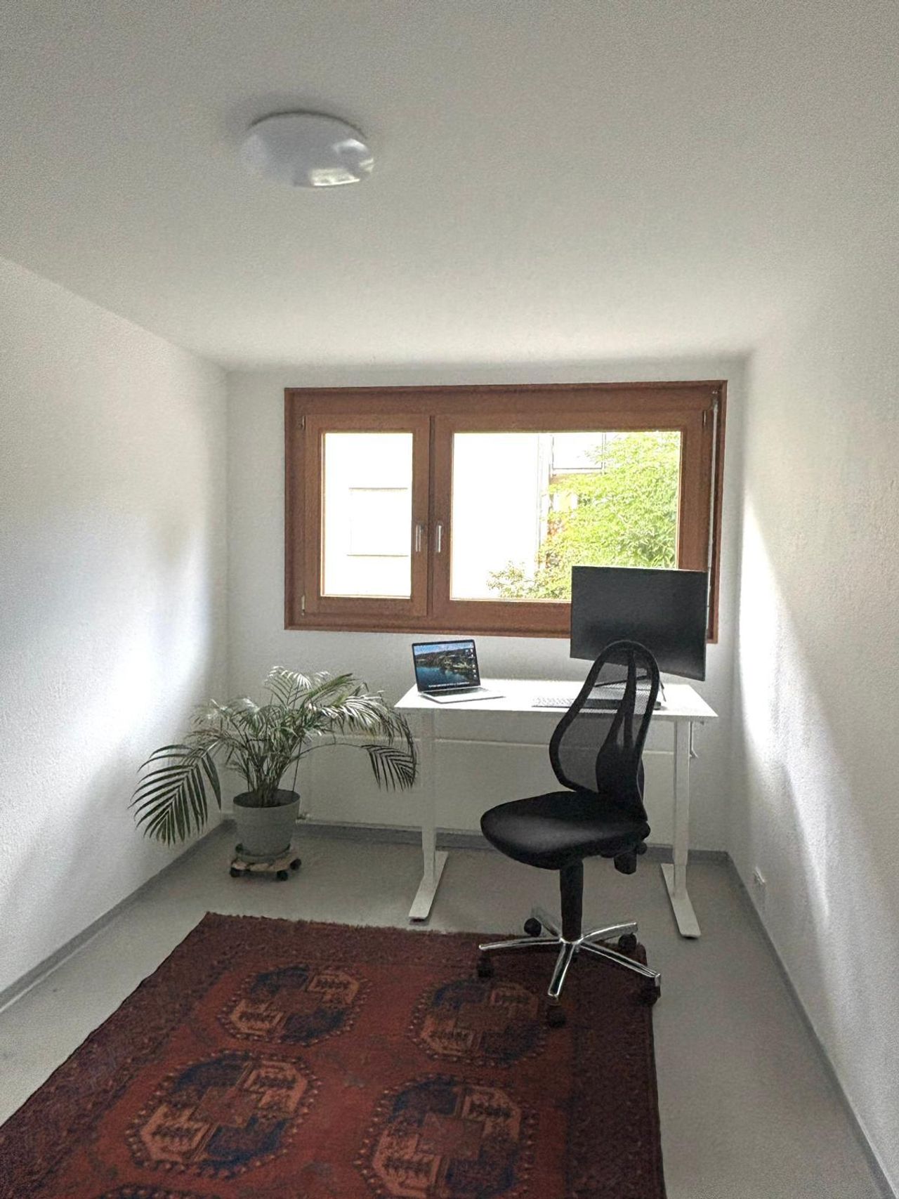 Stuttgart  Kantoorruimte Größerer Büroraum im Grünen image 1