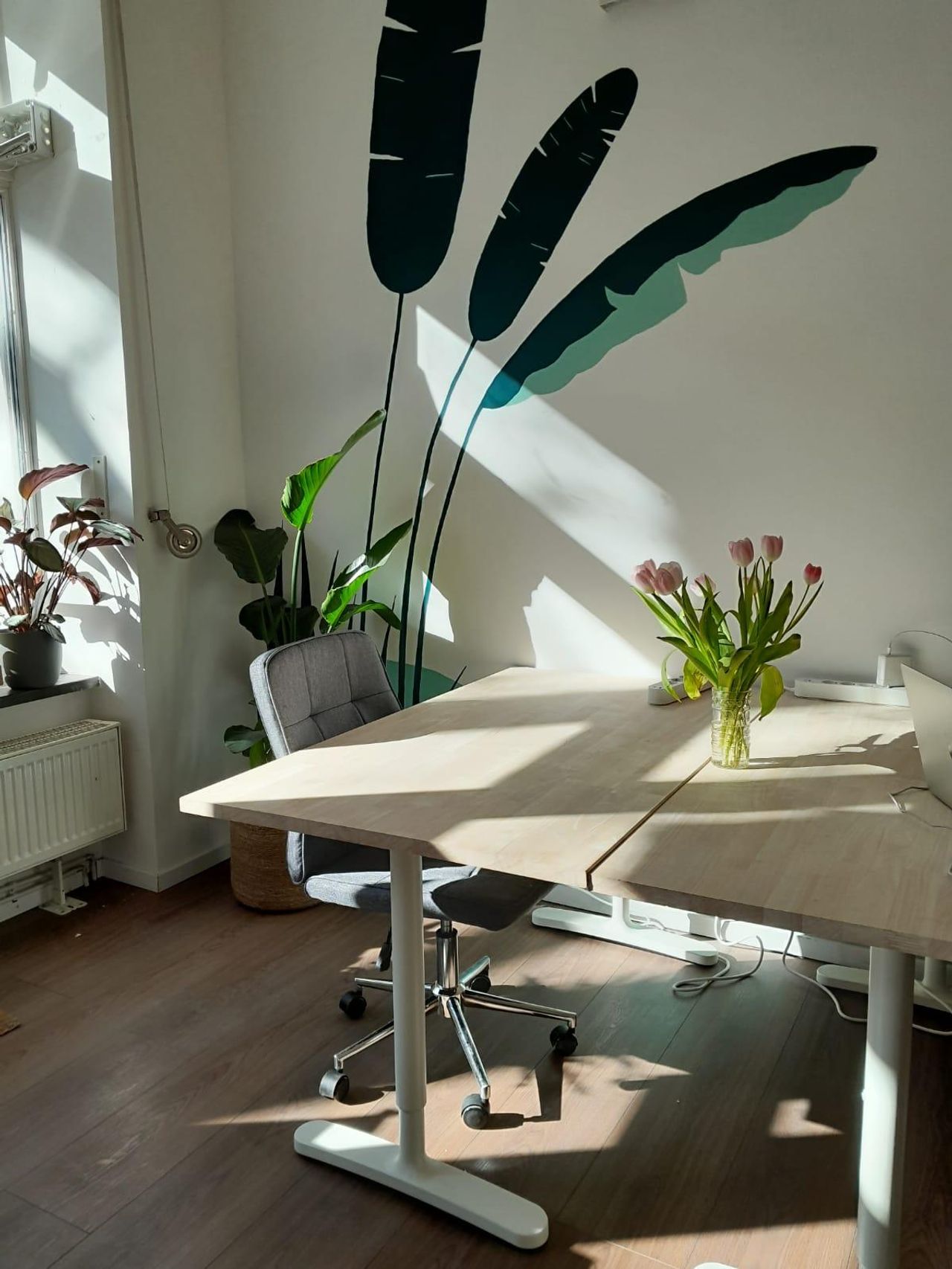 Berlin  Coworking Space Wow Space | Coworking in Berlin image 2