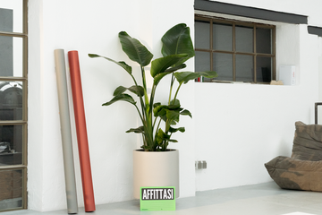 Köln  Fotostudio STUDIO A image 7