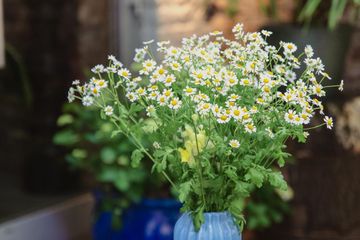 Cologne Unusual venue ZŸLLE image 4