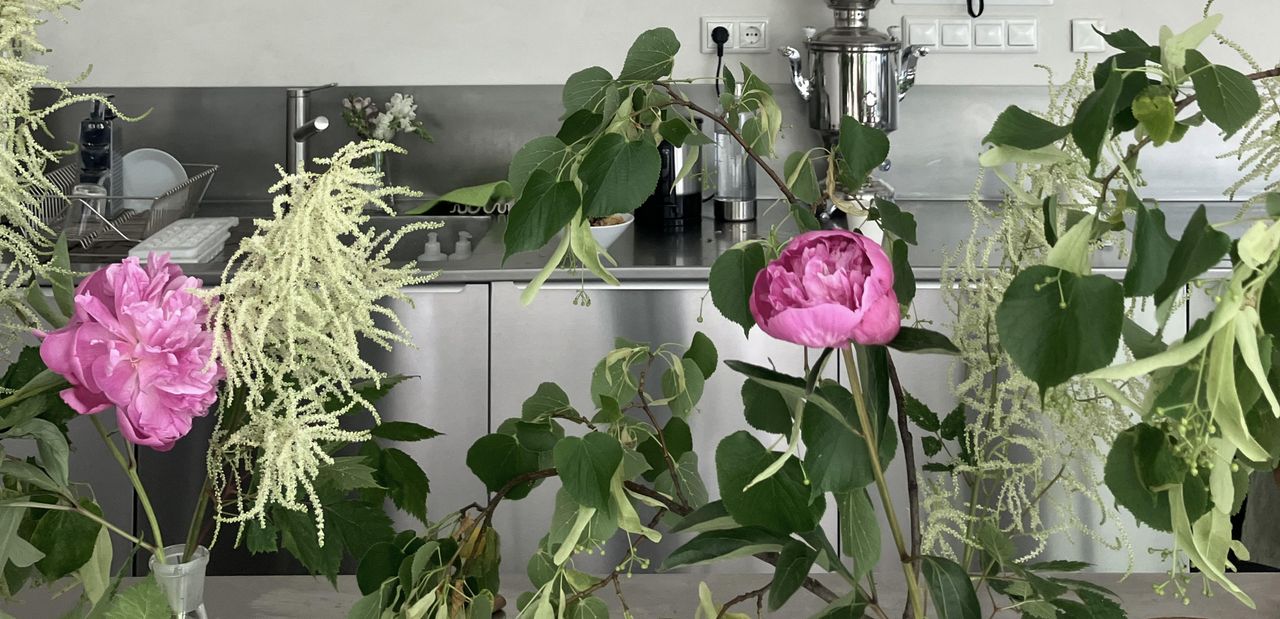 Halle (Saale) Mobiles Arbeiten Veranstaltungsraum belong base image 5