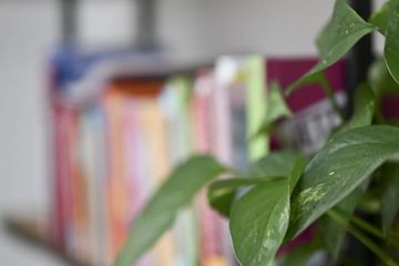 Wiesbaden Kreatives Meeting Coworking spaces Raum Karla 66qm image 3