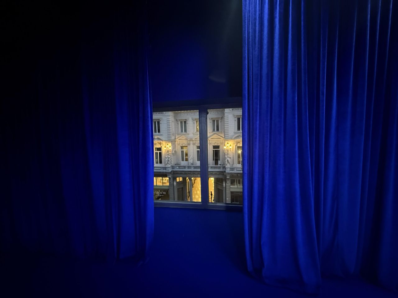 Brussel  Conferentiezalen The Blue Room image 3