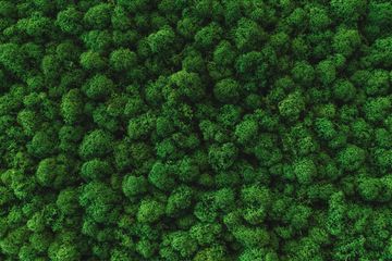 Frankfurt am Main  Meetingräume GREEN HUB image 4