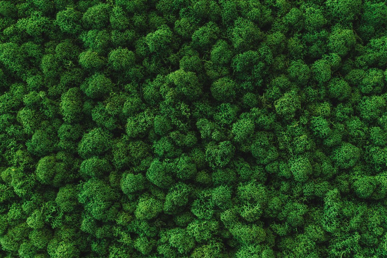 Frankfurt am Main  Vergaderzalen GREEN HUB image 4