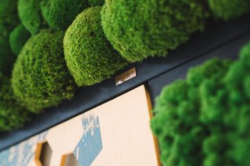 Frankfurt am Main  Meetingräume GREEN HUB image 4