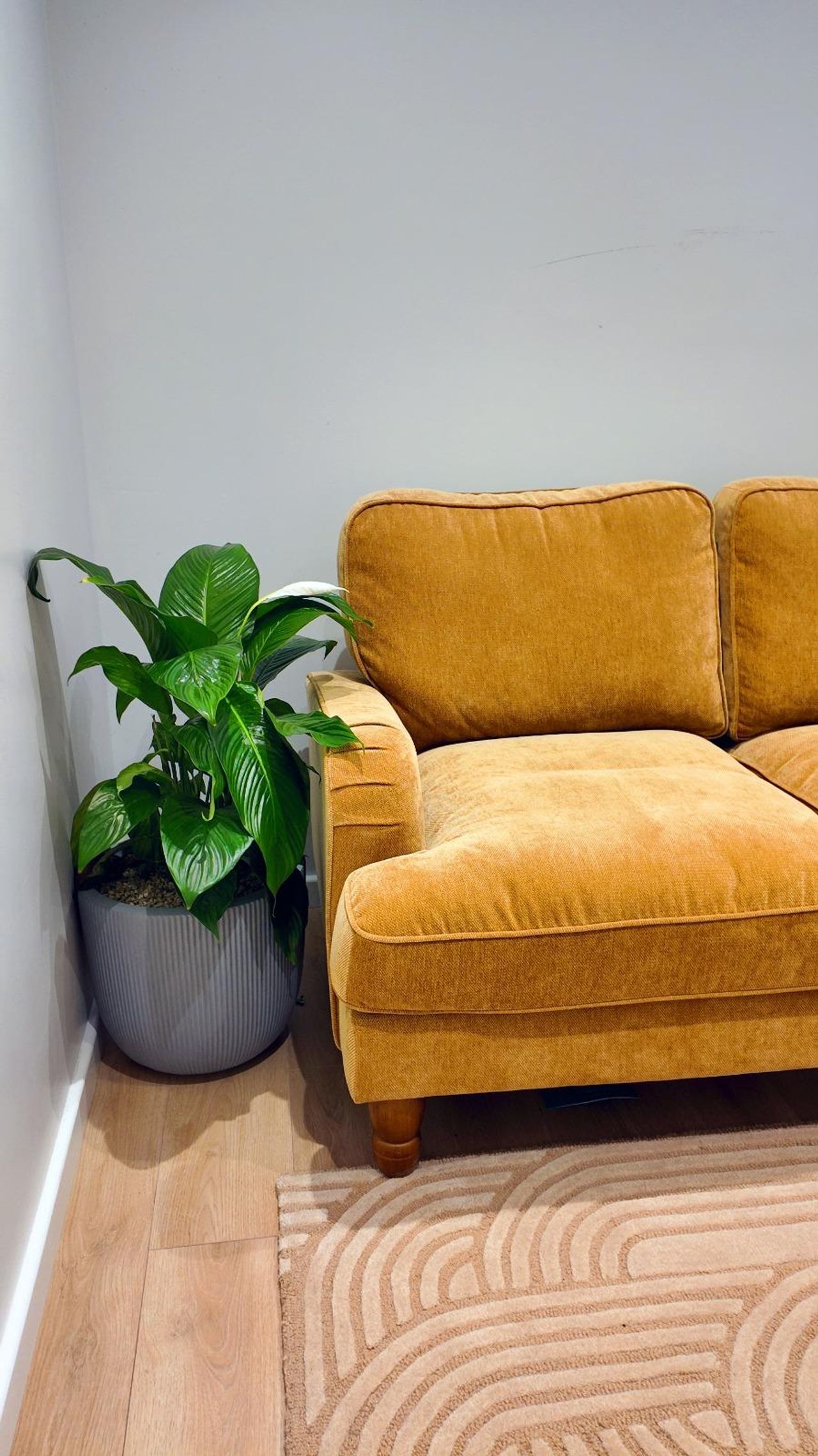 London  Consulting Room Cypress Room image 1