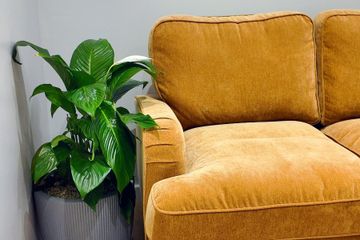 London Sprechzimmer Cypress Room image 1