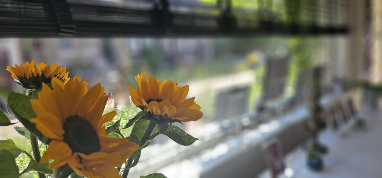 Amsterdam  Consulting Room De Buurtgalerij image 12