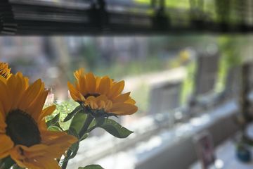 Amsterdam Spreekkamers De Buurtgalerij image 12