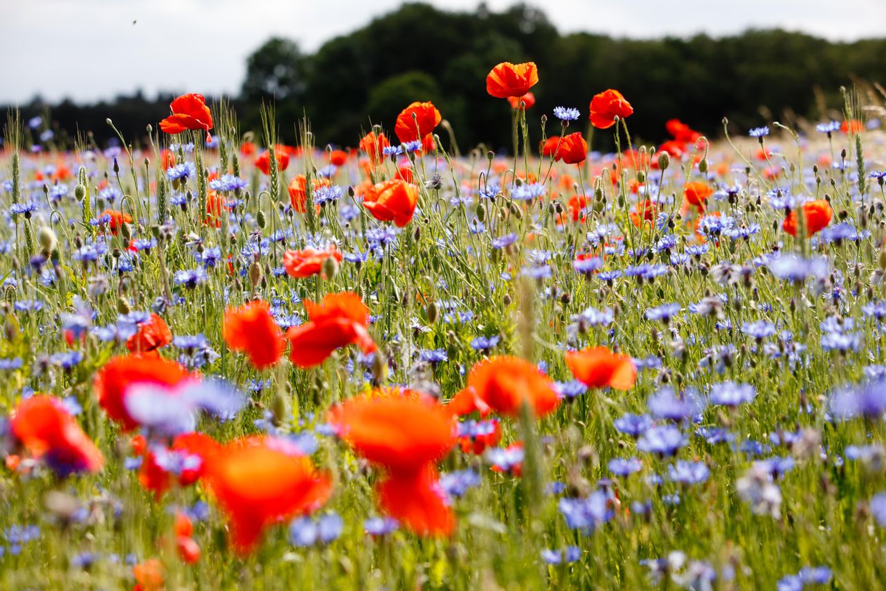 Rest van de wereld Kreatives Meeting Conference Hotel Multifunktionsbereich image 11