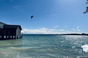 Dießen am Ammersee Meetingraum Open Space image 4