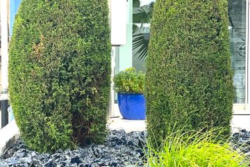 Tübingen  Seminarraum Big Meet image 5