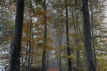 Deventer Mobiel Werken Meetingraum Jachthuis image 11