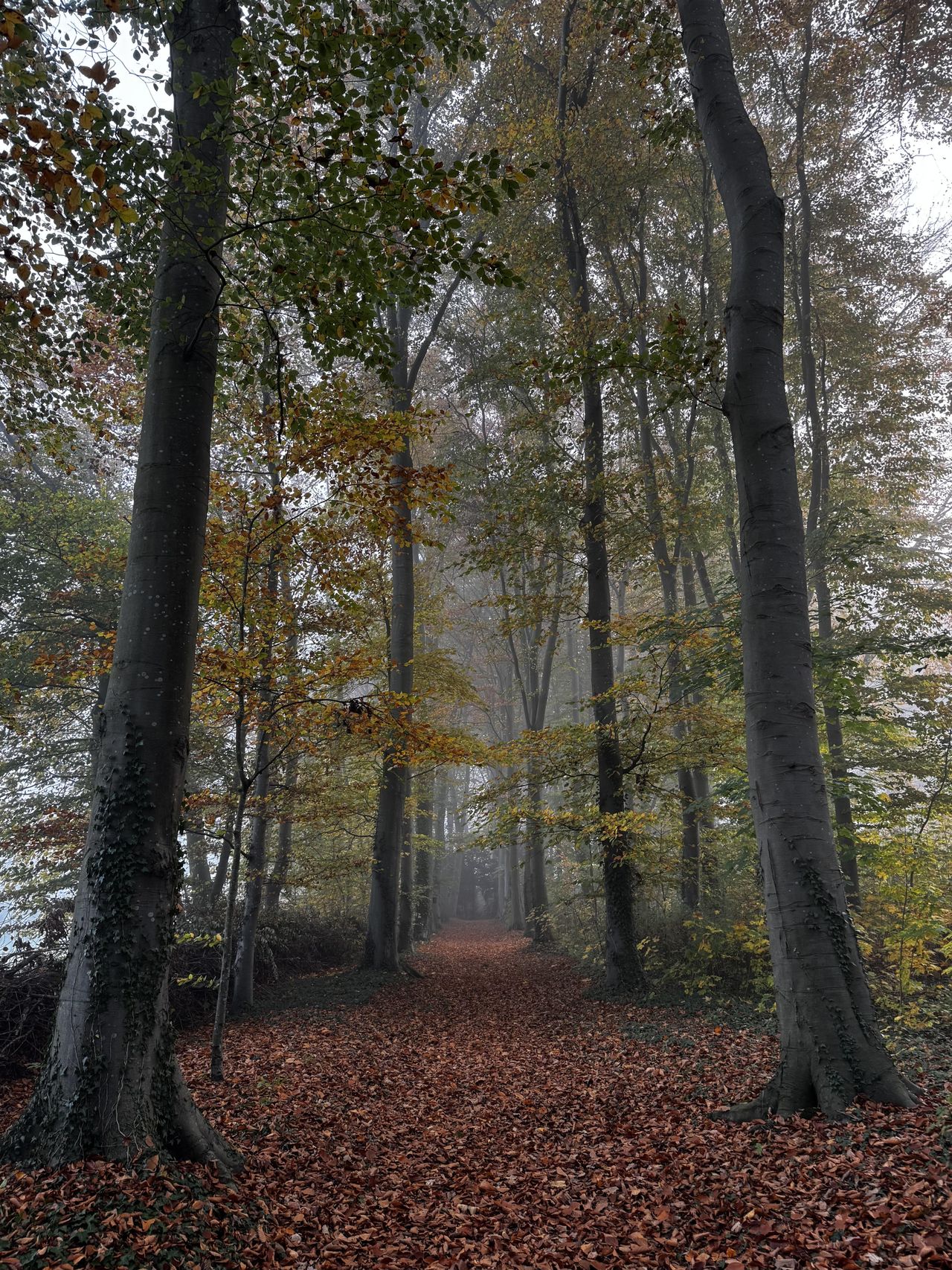 Deventer Mobiel Werken Meeting room Jachthuis image 11
