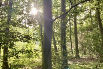 Deventer  Meeting room Keuken Jachthuis image 2