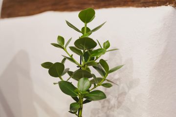 Sindelfingen Workshop-Raum Schmiede Sindelfingen image 2