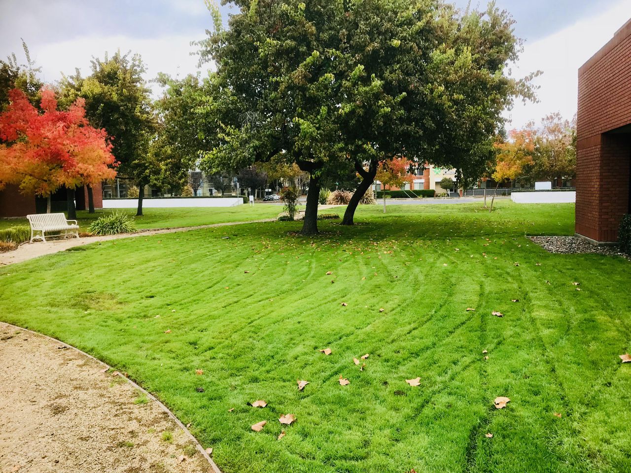 San Jose Mobile Working Meeting rooms room 124 image 12