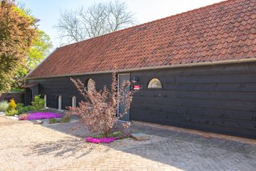 Bergen op Zoom Meeting room Vergaderruimte image 24