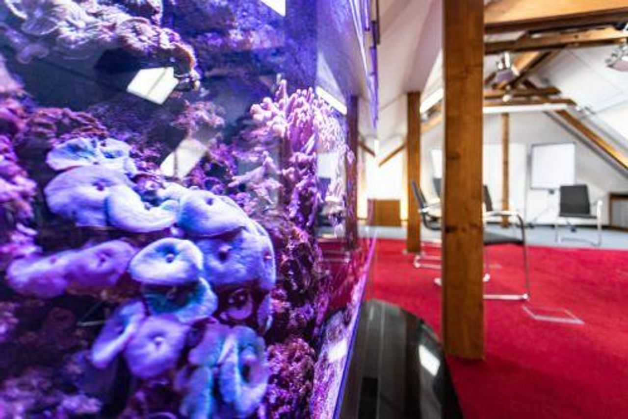 Leipzig  Tagungsräume Denkmee image 0