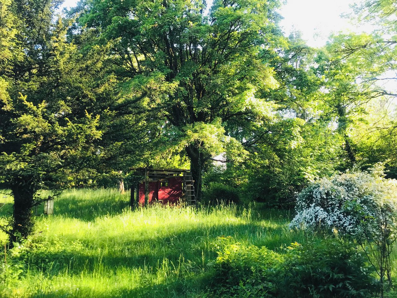 Munich Schulungsräume Photostudio Nordlichtstudio mit Tageslicht und Garten image 14