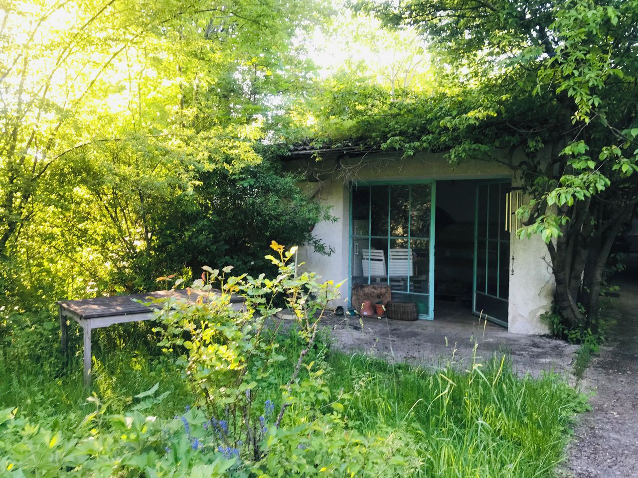 Munich Schulungsräume Photostudio Nordlichtstudio mit Tageslicht und Garten image 13