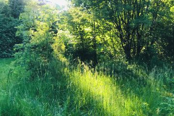 Munich Schulungsräume Photostudio Nordlichtstudio mit Tageslicht und Garten image 15