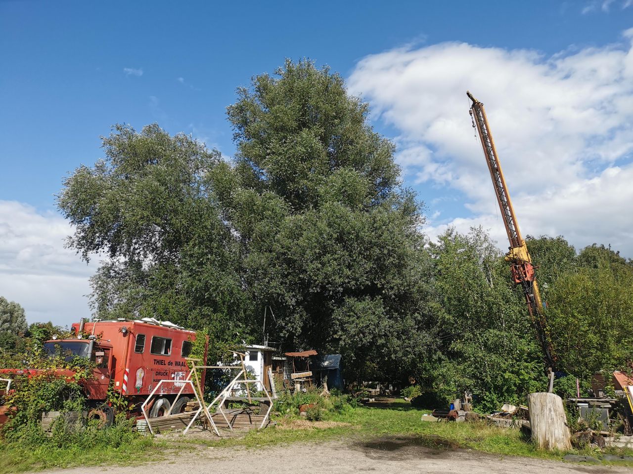 Hamburg  Unusual venue Garten image 11