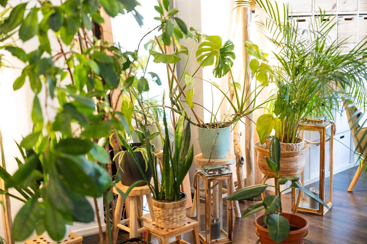 Stuttgart Mobiles Arbeiten Boardrooms LUNCA - Kreativraumvermietung Stuttgart West image 38