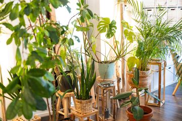 Stuttgart Mobiles Arbeiten Boardrooms LUNCA - Kreativraumvermietung Stuttgart West image 38