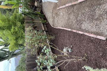 Los Angeles Open Air Location Little TopangaDreaming image 52