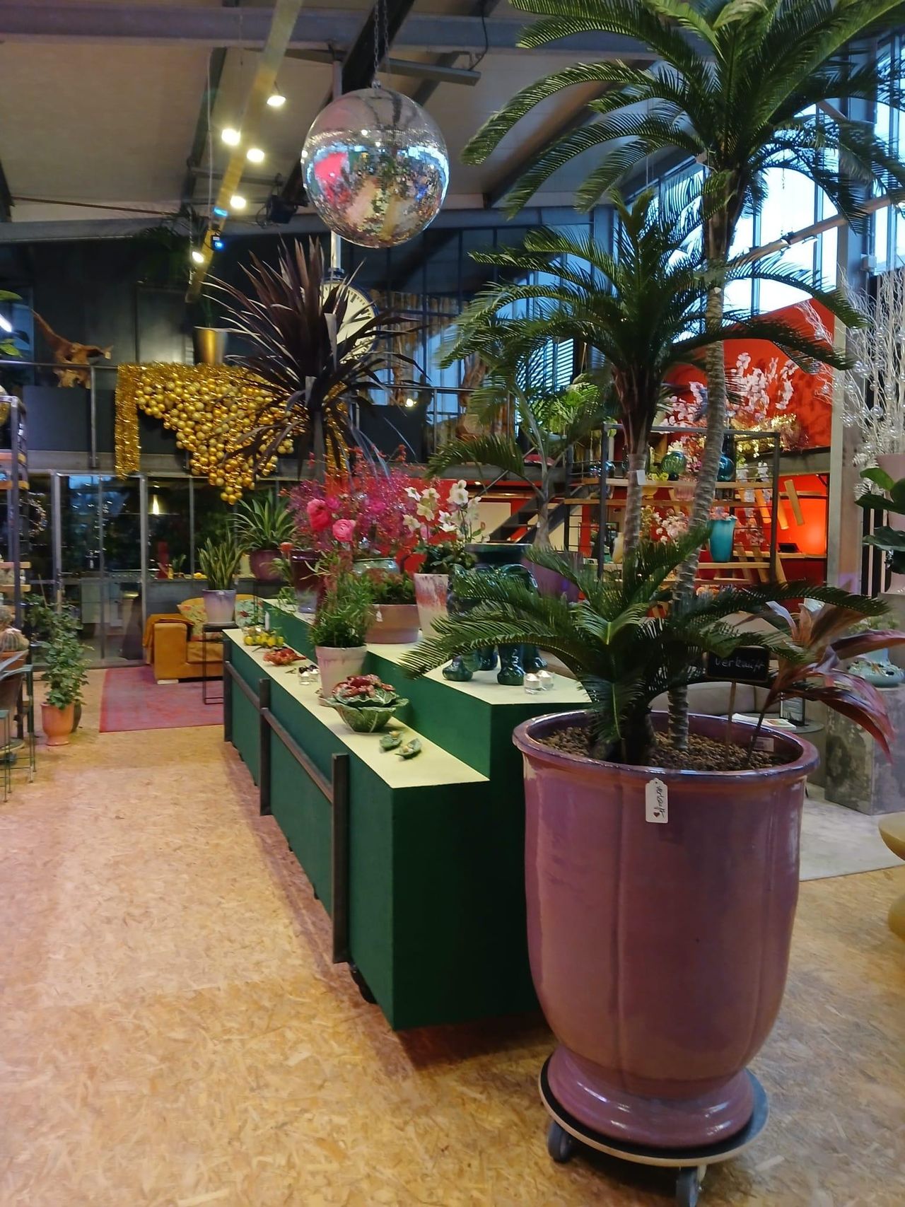 Neuss Mobiles Arbeiten Bijzondere locatie The Green Studio image 5