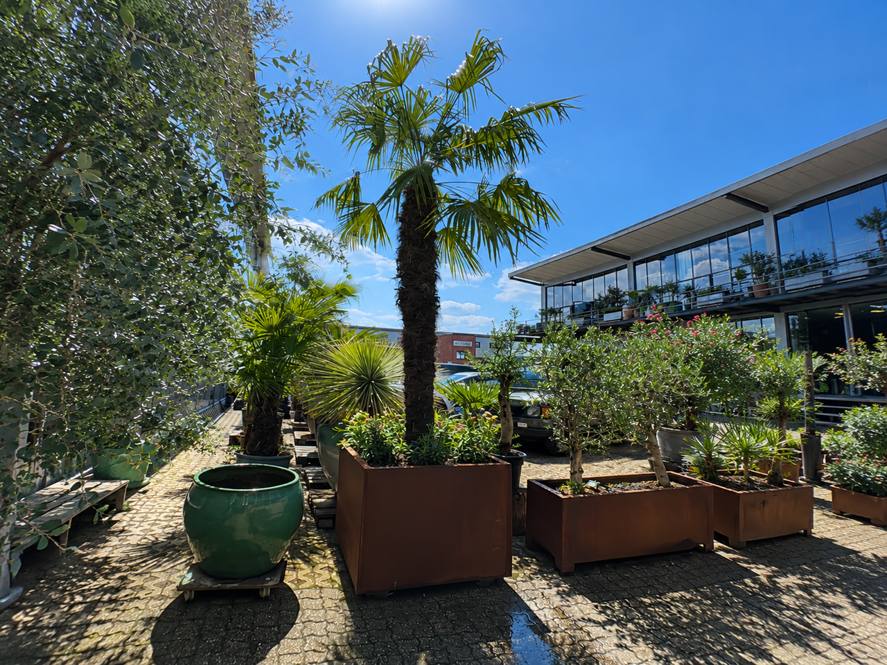 Neuss Mobiles Arbeiten Bijzondere locatie The Green Studio image 3
