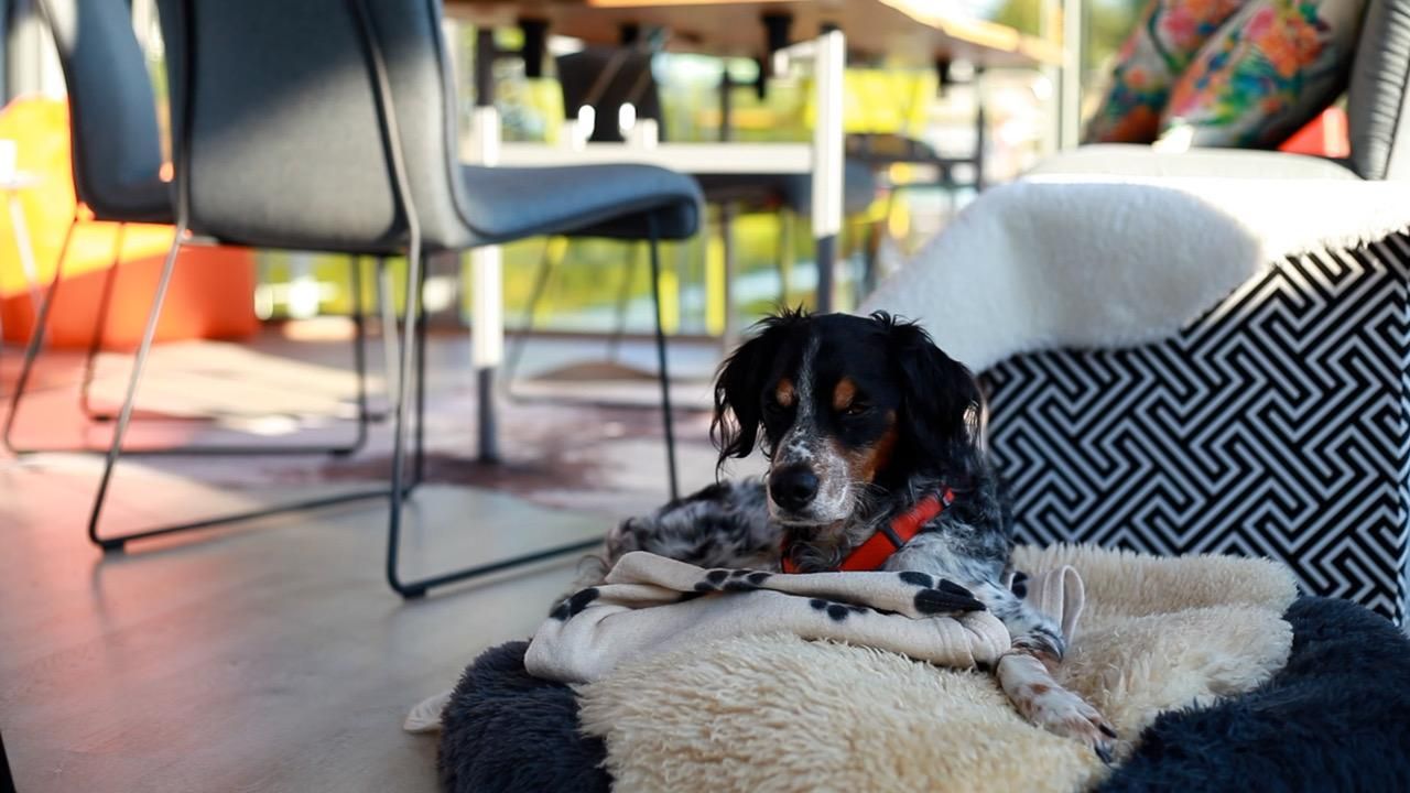 Saarbrücken Kreatives Meeting Workshopruimtes Floating-Workspace image 42